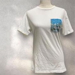 patagonia ホワイトコットンTシャツ 半袖 ポケット付き　XS