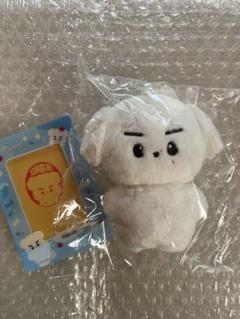 theboyz ドボイズ　ヨンフン　ぬいぐるみ　マスコット　トレカ THEBOYZ ソウルコン ミニドール マスコット ぬいぐるみ ヨンフン