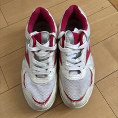 MIZUNO 【サイズ交換送料無料】ミズノ バレーボールシューズ