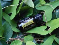 【❗️破格 誤開封 未使用】ドテラ オレガノ 15ml 期限25年10月のサムネイル