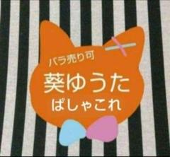 あんスタ ゆうた ぱしゃこれ 箔押し 星燦 中国 星動 5周年 3周年 4周年 あんスタ ゆうた ぱしゃこれ 箔押し 星燦 中国 星動 5周年 3周年