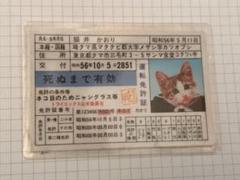 なめねこ 免許証の中古 未使用品を探そう メルカリ なめねこ 免許証の中古 未使用品を探そう メルカリ