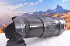 2025年最新】canon ef 90-300の人気アイテム - メルカリ