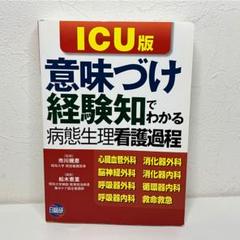 意味づけ・経験知でわかる病態生理看護過程ICU版