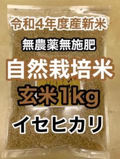 無農薬玄米の検索結果 - メルカリ