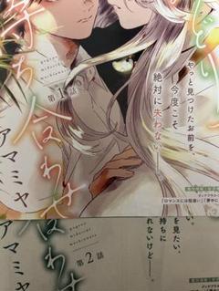 シェリプラス　2025年　3月号　5月号　午後のみどりで待ち合わせ　切り抜き