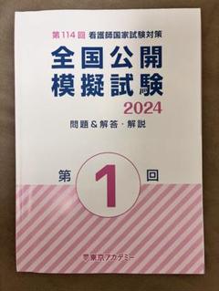 看護師国家試験　模試　2024