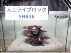 ✏新品アク抜き不要 人工ライブロック レプリカ 60cm以上海水水槽用 多孔質5 2025年最新】ライブロックレプリカの人気アイテム - メルカリ