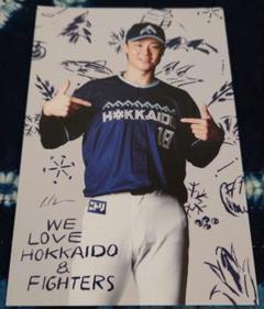 ✨新品✨北海道日本ハムファイターズ  日ハム 山崎福也 レプリカユニフォーム L 北海道日本ハムファイターズ 山崎福也選手 ユニフォームLサイズ