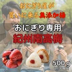 ▽産地直送 紀州南高梅 500g 梅 無添加 和歌山 紀州 白梅 2907