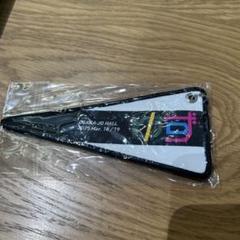 ゆず 図鑑ペナントキーホルダー ご当地 長野ビッグハット 限定 ゆず図鑑 ペナントキーホルダー 長野新品｜Yahoo!フリマ（旧