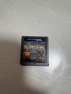 DSソフト テーマパーク