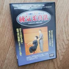 錬気柔真法 DVD