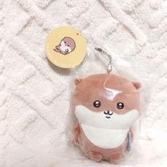 【25日まで限定価格】カワウソくじ　B賞 C賞 D賞　25個セット！ ナガノのカワウソ ぬいぐるみくじ - ナガノマーケット ナガノ