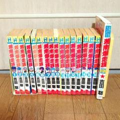 ザ*ザ様 湘南爆走族全巻➕別巻➕あばれ花組全巻　セット 湘南爆走族 全9巻完結(コミック―YKコミックス・デラックス