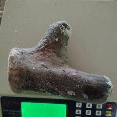 蝦夷鹿　鹿茸　袋角　471g 宅送] 鹿の角 袋角 鹿茸 蝦夷鹿 530g 21 沿う その他 - その他