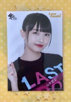 山本愛梨 生写真 ラストアイドル 即購入不可 生写真(女性)/アイドル/Love Cocchi Love Cocchi/山本愛梨