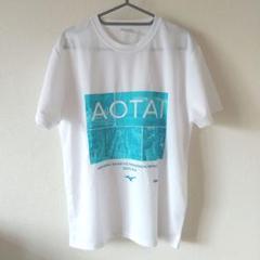 宮崎 37回 青島太平洋マラソン Tシャツ ミズノ Lサイズのサムネイル
