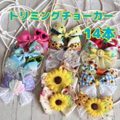 姫香ページ トリミングチョーカー 夏 トリミングチョーカー 716 しげちー様専用 - メルカリ