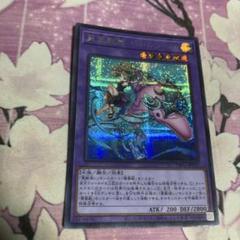 遊戯王　聖霊獣騎　ペトルフィン　シークレットパラレル　ARS 10+ 聖霊獣騎ペトルフィン【スーパーパラレル】{TW01-JP137}《融合》