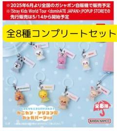 コンプリートセット】SKZOO めじるしアクセサリー 8種セット