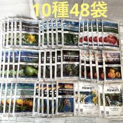 奄美大島 訳あり たんかん タンカン みかん ご家庭用 10kg