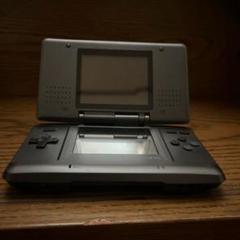 ニンテンドーDS 本体 グレー USBケーブル付き