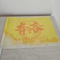 2025年最新】Novelbright青春旗の人気アイテム - メルカリ