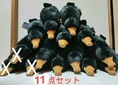 ファンタビ 探索中 等身大 ニフラーぬいぐるみ 寝そべり 11点セット ファンタビ 探索中 等身大 ニフラーぬいぐるみ 寝そべり 11点セット