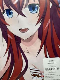 ハイスクールDxD リアスグレモリー スリーブ Amazon | 角スリvol.13 「ハイスクールD×D/リアス・グレモリー