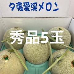 北海道 「夕張IKメロン」 秀品 5玉 8キロ 札幌キングTA品種