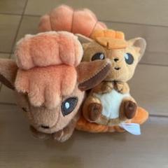 ポケモン - ポケモン ロコン ぬいぐるみ まとめ売り ポケモン（pokemon）（メンズ、レディース、キッズ）ぬいぐるみ