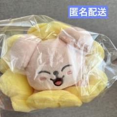 Stray Kids SKZOO ミニカーペット ペンケース　バンチャン Stray Kids SKZOO ミニカーペット ペンケース バンチャン - メルカリ