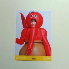 乃木坂46 山下美月 タコ下美月 生写真 乃木坂46 山下美月 タコ下美月 生写真 - メルカリ