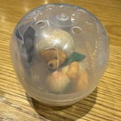 ディズニーストア プーさんのぬいぐるみ カプセル入り