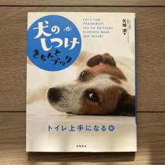 服部幸 花島秀俊　矢崎潤　菊地将也　猫 DVD プログラム　トラブル解消　ケア 服部幸 花島秀俊矢崎潤菊地将也猫 DVD プログラムトラブル解消ケア