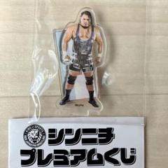 【新品未開封】シンニチプレミアムくじ フィニッシュ賞 アクスタ11種 コンプ 新日本プロレス シンニチプレミアムくじ 2024年 第3弾！