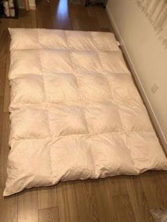 特価商品 高級羽毛掛け布団 大特価 新品未使用 アライヴン 布団 毛布 Pmpcpa Com