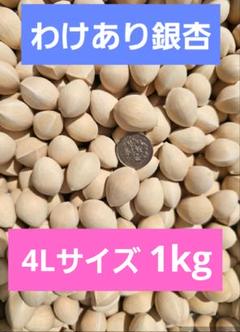 ファッションデザイナー 2025年最新】銀杏1kgの人気アイテム メルカリ - 野菜