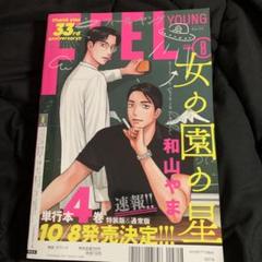 FEEL YOUNG フィールヤング　14冊まとめ売り FEEL YOUNG フィールヤング 14冊まとめ売り - 女性漫画