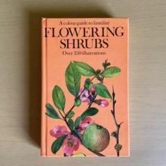 【初版】植物図鑑　図鑑　ヴィンテージ洋書　古本洋書　洋書　ヴィンテージ　イラスト