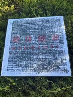 RADWIMPS レコード 絶体絶命 新品】RADWIMPS - 絶体絶命 [2LP] (重量盤) レコード - メルカリ