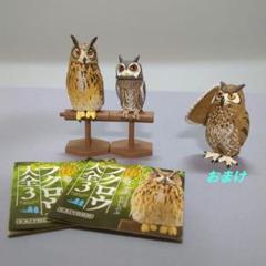 カプセルQミュージアム 福をよぶ フクロウ大全3 ［3.アフリカオオコノハズク］(単品) カプセルQミュージアム 福をよぶ フクロウ大全3【台紙】POP