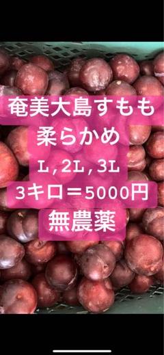 大きなすもも 2L〜3L 3キロ