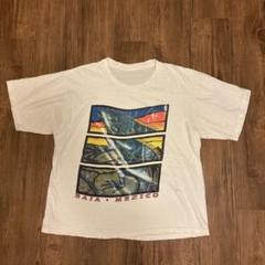 BAJA MEXICOバハカリフォルニア イグアナTシャツ　90s アメリカ製