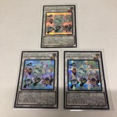 【taki】遊戯王　11枚セット　まとめ売り依頼対応セット 遊戯王OCGデュエルモンスターズ SECRET SHINY BOX | 商品情報