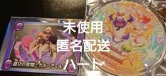 パズドラ ラウンドワン アクリルキーホルダー　ラウワン