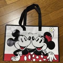 Disney - ディズニーストア　ハッピーバッグ　ミッキーミニーセット ディズニーストア ハッピーバッグ2025 ミッキー & ミニー ミニ