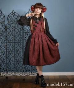 未使用級♡snidel シノワズリ レースワンピース Aライン　パーティドレス 未使用級♡snidel シノワズリ レースワンピース ドレス Aライン