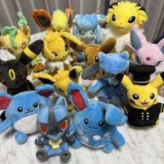 【新品タグ付き】ポケモンフィット【11体まとめ売り】 2025年最新】ポケモンFIT まとめ売りの人気アイテム - メルカリ